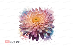 Pink purple chrysanthemum bloom flower Product Image 1