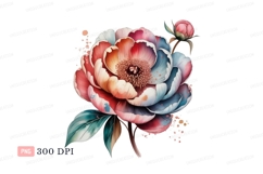 Watercolor peony bloom with bud flower Product Image 1
