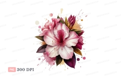 Pink white rhododendron flower splash image Product Image 1