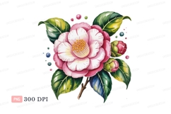 Pink camellia flower with buds and leaves white yellow Product Image 1