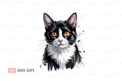 Black white cat orange eyes feline Product Image 1