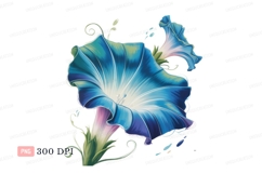 Blue morning glory flowers bloom Product Image 1