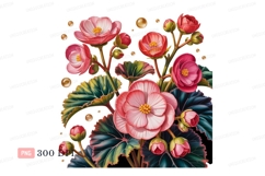 Pink begonia blossoms gold droplets green yellow Product Image 1