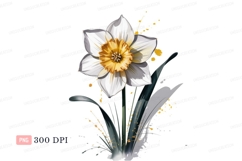 White yellow daffodil flower watercolor green Product Image 1