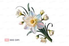 White narcissus flowers with iridescent petals yellow Product Image 1