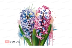 Pink blue hyacinth flowers watercolor splashes green Product Image 1