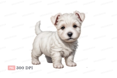 Fluffy white puppy standing cute Product Image 1