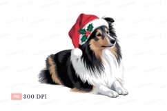 Tricolor dog wearing santa hat black white Product Image 1