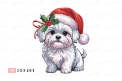 Fluffy white dog wearing Santa hat puppy christmas Product Image 1