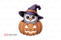 Owl witch in pumpkin halloween Product Image 1