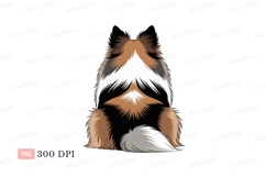 Fluffy dog sitting black background canine animal Product Image 1