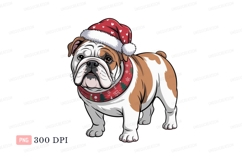 Bulldog wearing christmas hat and scarf image Product Image 1
