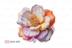 Opulent floral bloom with golden accents flower petals Product Image 1