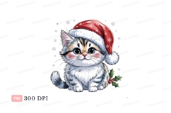Fluffy kitten wearing Santa hat christmas holiday Product Image 1