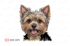 Happy Yorkshire Terrier canine Product Image 1