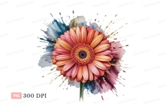 Vibrant gerbera bloom watercolor splash flower Product Image 1