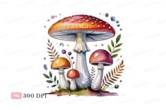 Red white spotted mushrooms forest image Product Image 1