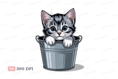 Gray kitten peeking from bucket white blue Product Image 1