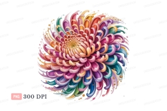 Vibrant chrysanthemum bloom flower colorful Product Image 1