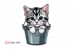 Gray tabby kitten blue eyes bucket white Product Image 1