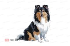 Fluffy tricolor dog sitting collie black Product Image 1