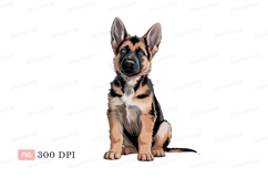 German Shepherd puppy sitting black background canine Product Image 1