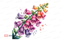 Foxglove blooms purple pink orange image Product Image 1