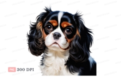 Cavalier King Charles Spaniel Tri Color Portrait image Product Image 1