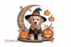 Adorable puppy witch with pumpkins costume Product Image 1