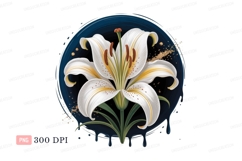 White lily bloom dark blue circle yellow green Product Image 1