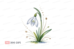 White snowdrop bloom with golden accents flower green Product Image 1