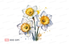 White yellow daffodils floral clipart P N G spring Product Image 1