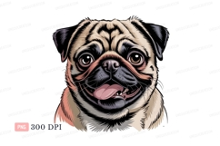 Pug dog face with tongue out animal canine Product Image 1