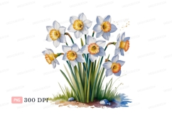 White orange daffodils blooming spring yellow green Product Image 1