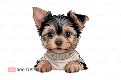 Adorable Yorkshire Terrier puppy wearing sweater canine Product Image 1