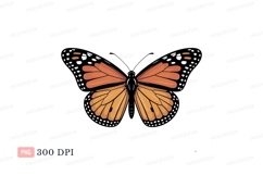Orange butterfly with black markings insect wings Product Image 1