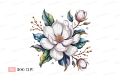 White magnolia blossoms and leaves pink green Product Image 1