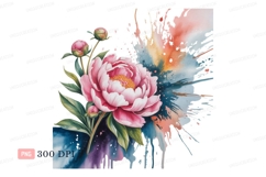 Pink peony watercolor splash flower buds Product Image 1