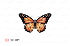 Orange butterfly with black markings monarch white Product Image 1