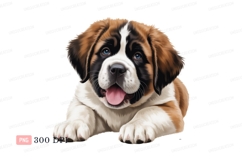 Saint Bernard puppy blue eyes canine Product Image 1