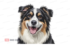 Happy Australian Shepherd Dog Portrait image Product Image 1