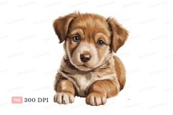 Fluffy brown puppy with blue eyes canine animal Product Image 1