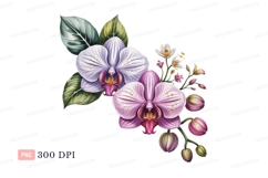 Purple pink orchid blooms green leaves flower petal Product Image 1