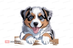 Happy Australian Shepherd Puppy canine Product Image 1