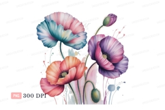Colorful poppy flowers with buds pink purple Product Image 1