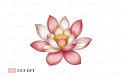 Pink white lotus flower with gold accents image Product Image 1