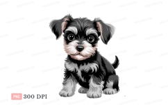 Black white furry puppy sitting grey Product Image 1