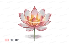 Pink lotus flower water reflection white yellow Product Image 1