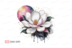 White magnolia bloom cosmic background flower pink Product Image 1