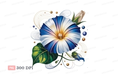 Blue white striped morning glory flower image Product Image 1